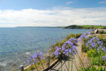 Falmouth Sea Front